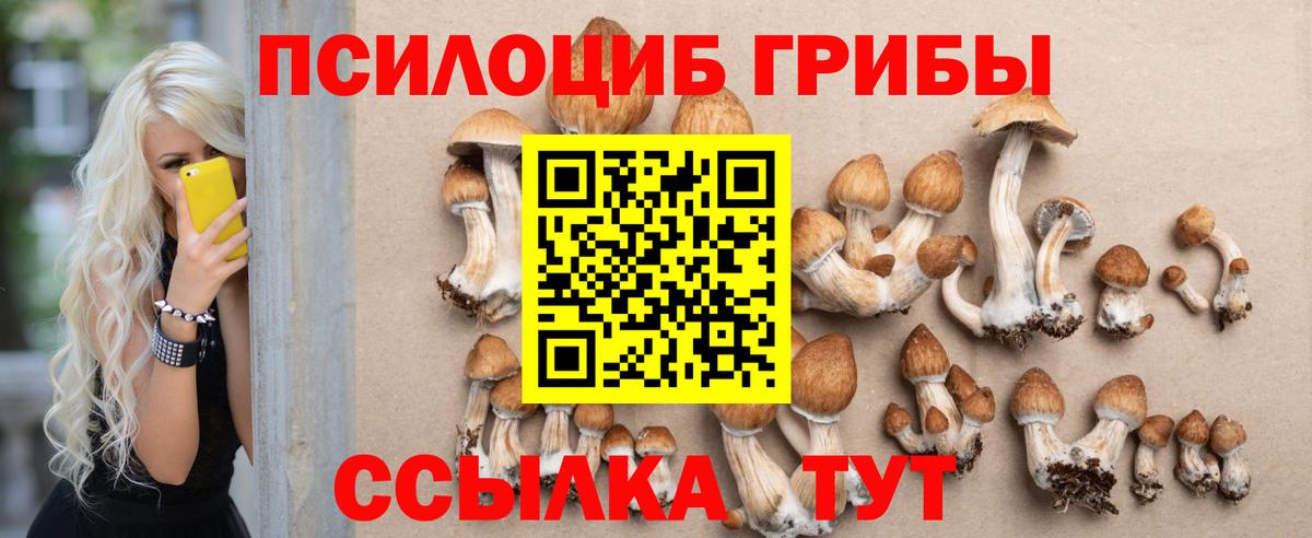 цены   Псилоцибиновые грибы MAGIC MUSHROOMS  Вход с VPN  Тара 