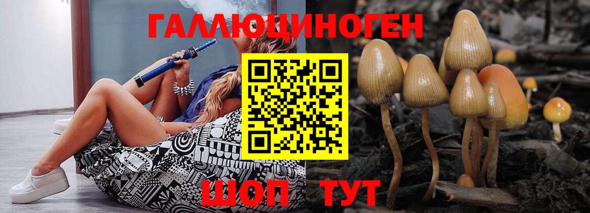 Галлюциногенные грибы GOLDEN TEACHER Тара