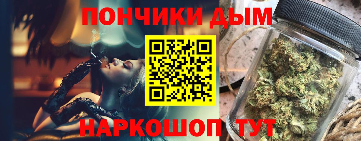 Бошки Шишки планчик  Бошки марихуана Bruce Banner  Бошки марихуана сатива  Вход с VPN  Конопля AK-47  Тара 